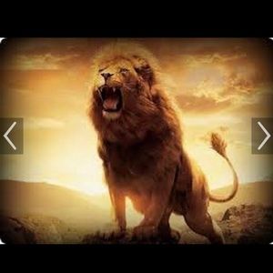 Meet your Posher, Eli